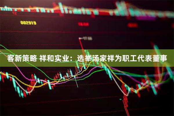 客新策略 祥和实业：选举汤家祥为职工代表董事